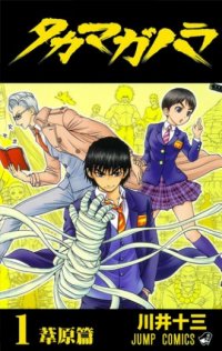 Takamagahara Manga
