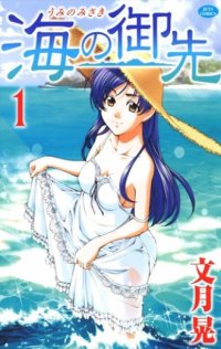 Umi no Misaki Manga